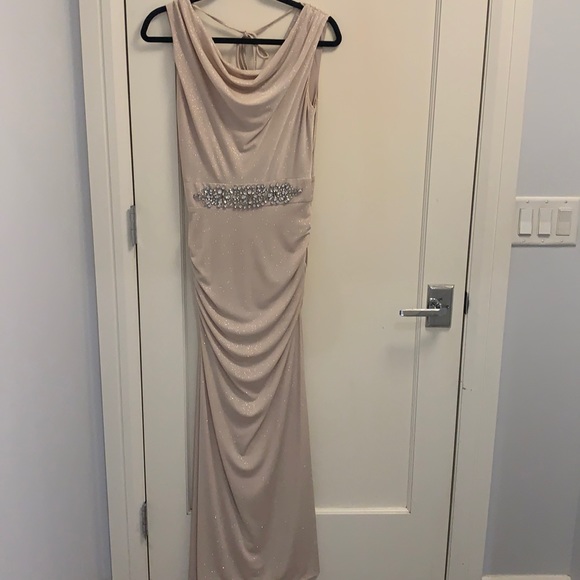 Champagne gown with silver thread sparkle - Picture 1 of 6